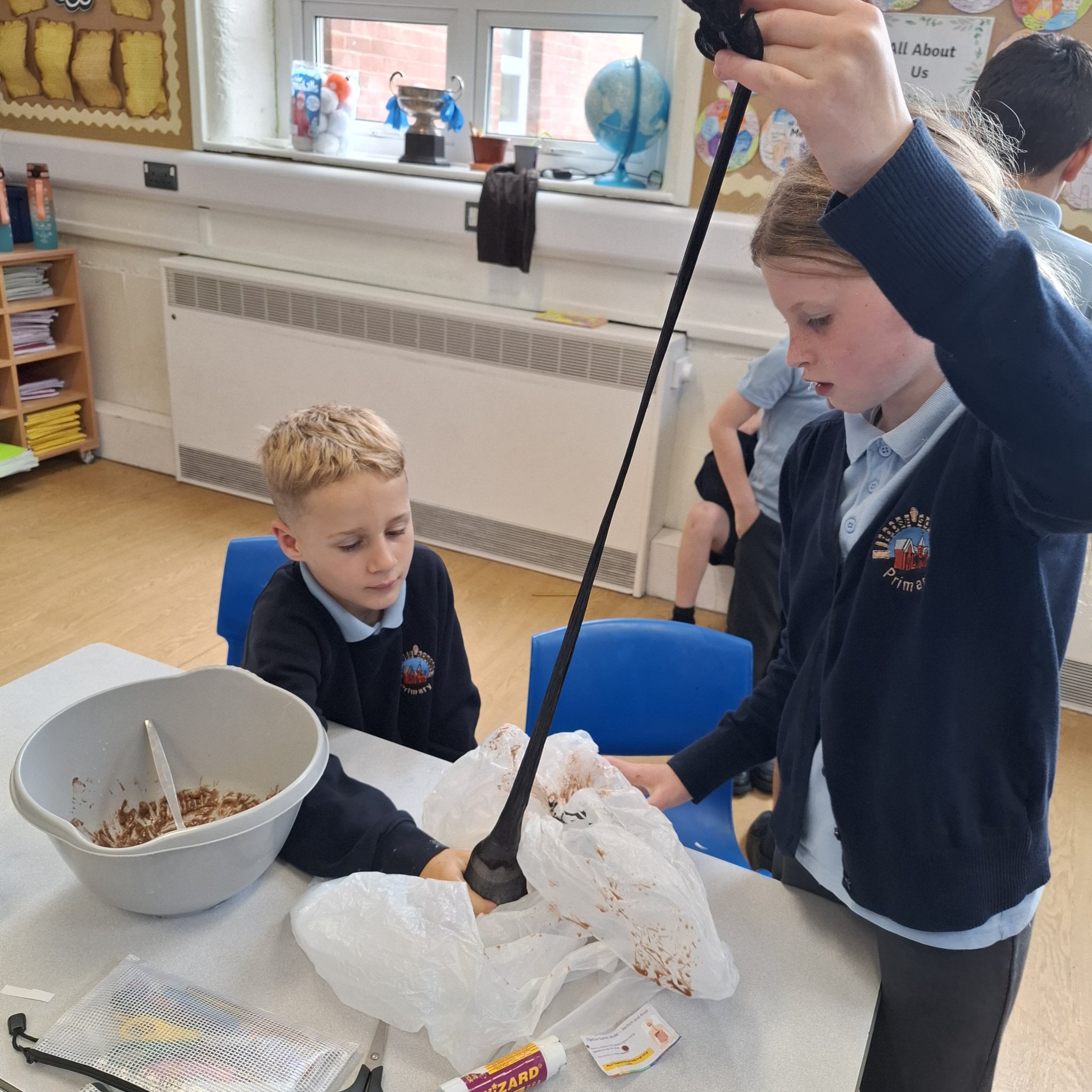Image of Year 4 Digestive System 