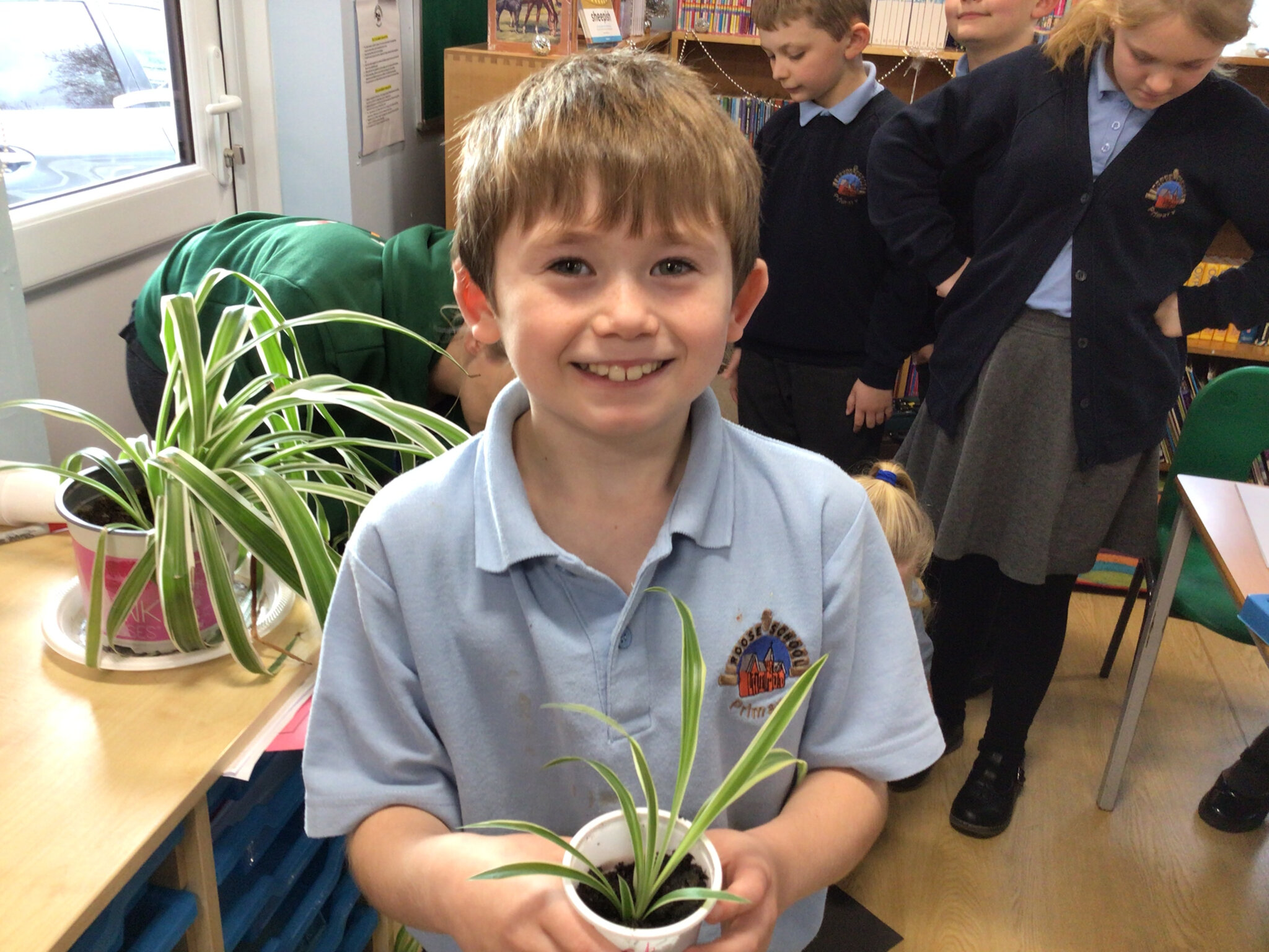 Image of Re-potting plants 