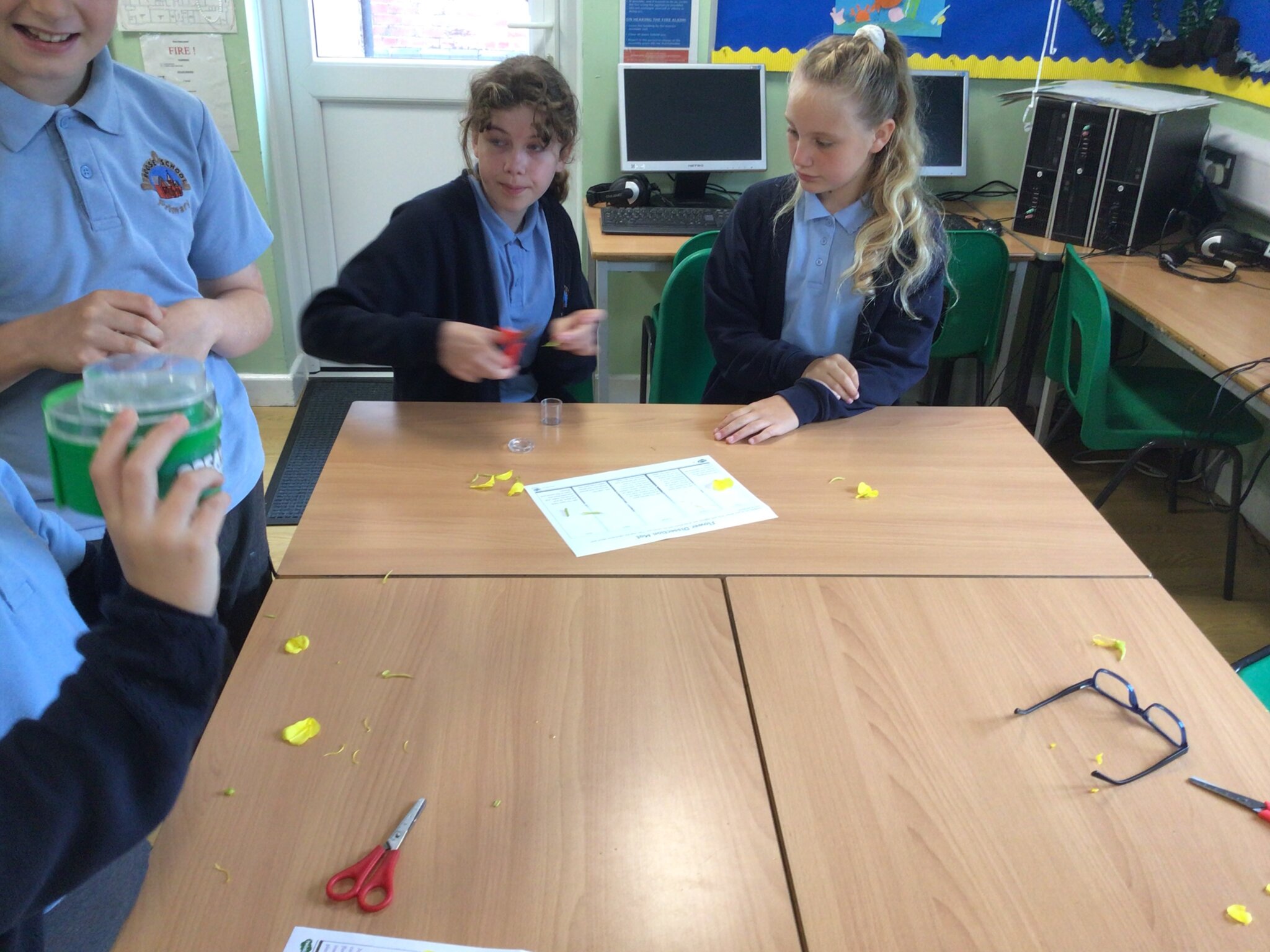 Image of Dissecting flowers