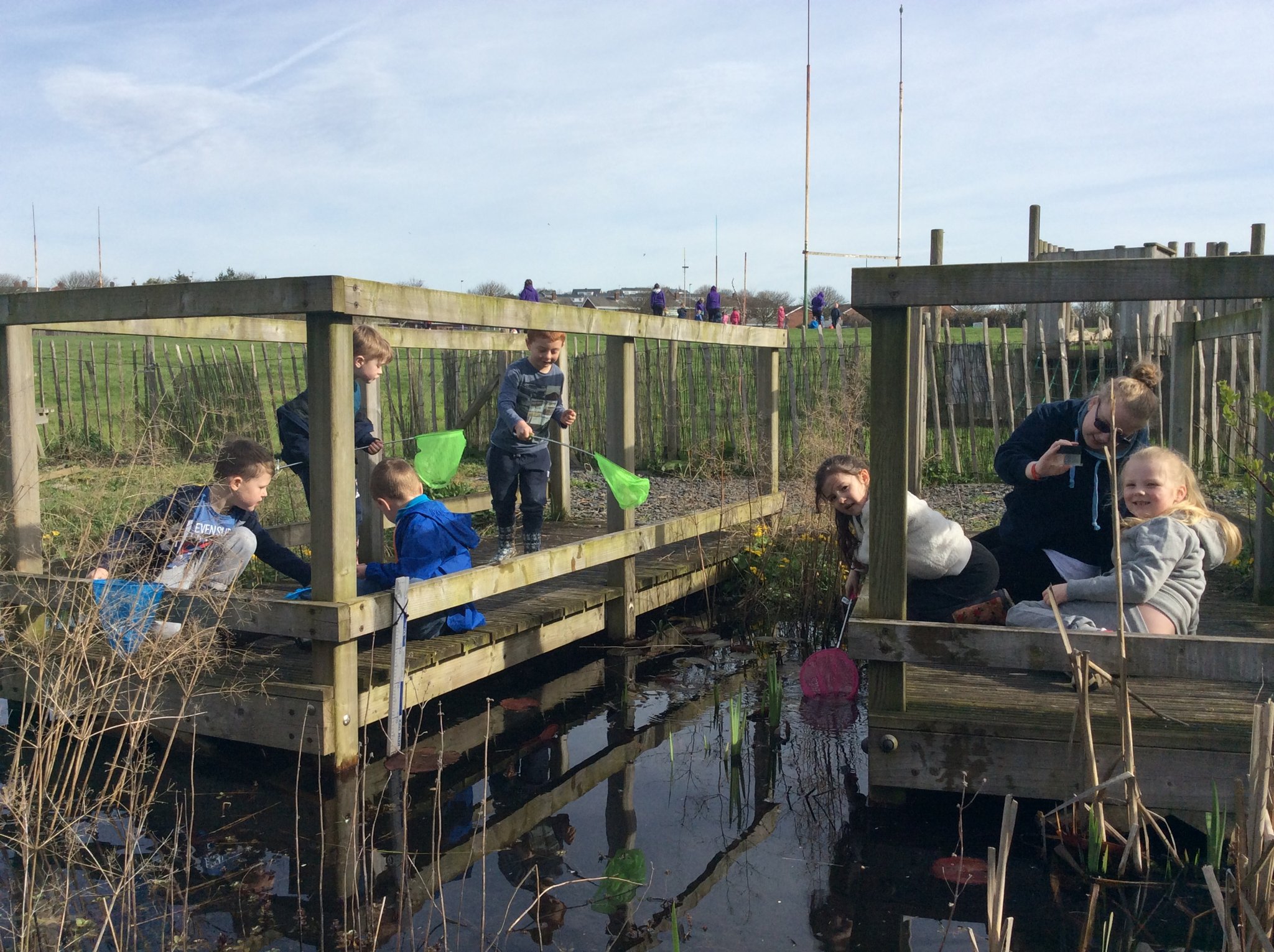 Image of Forest Schools - dens and pond dipping