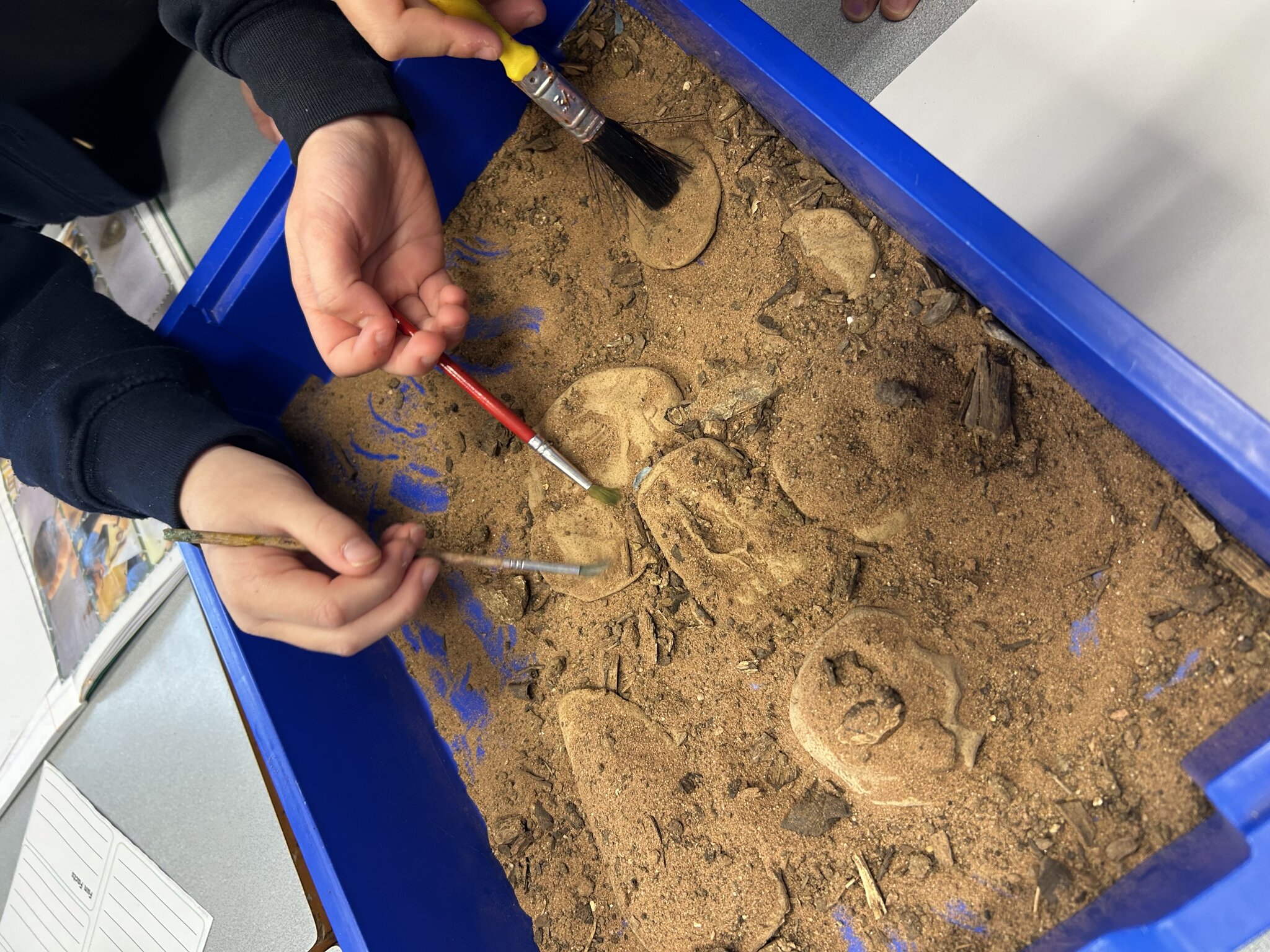 Image of Year 3 Fossils