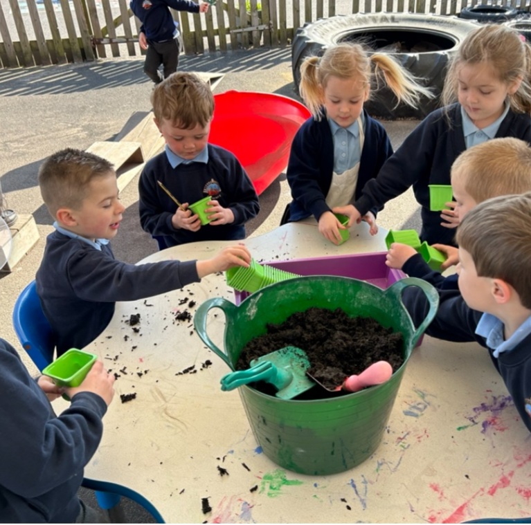 Image of Planting Seeds