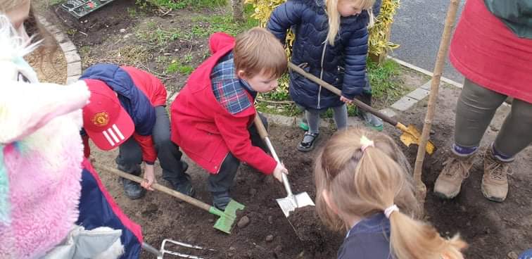 Image of Nature club tree planting