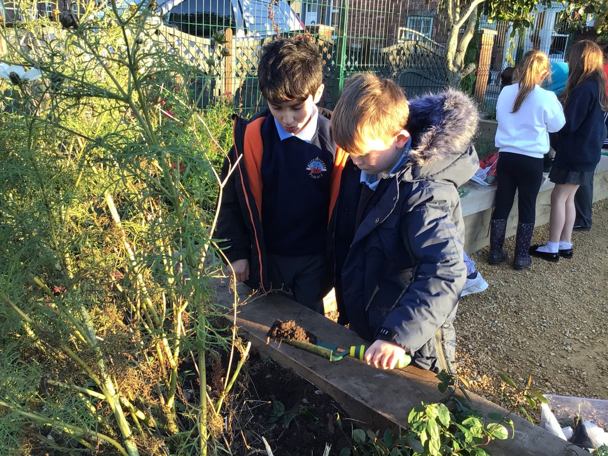 Gardening club | Roose Community Primary School