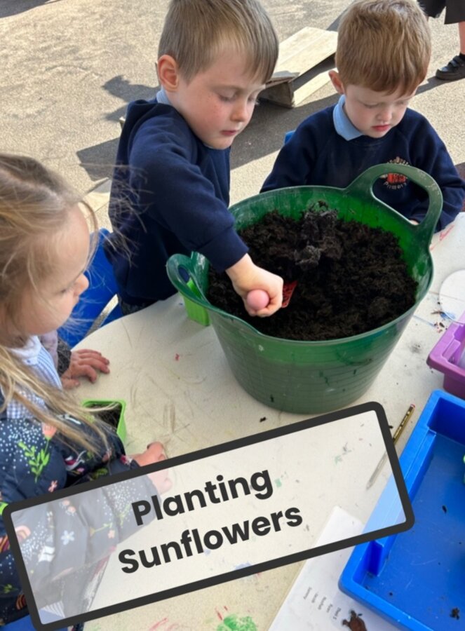 Planting Seeds | Roose Community Primary School