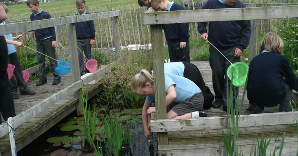 Pond dipping | Roose Community Primary School