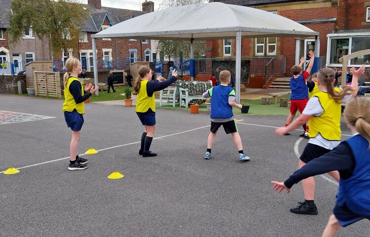 Image of Netball matches 