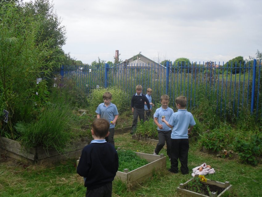 Image of Bug Hotels