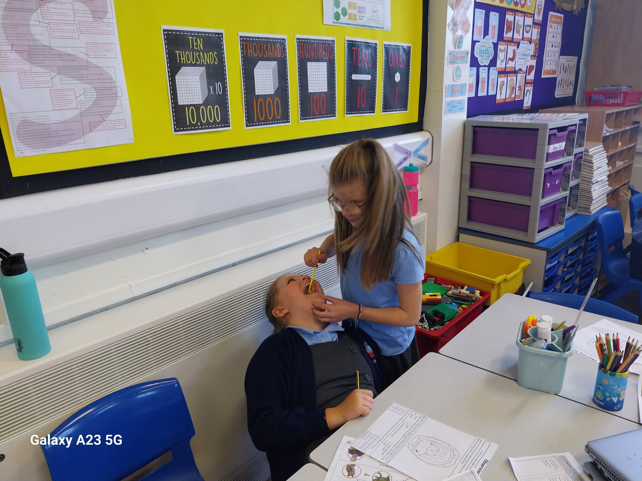 Image of Investigating Teeth