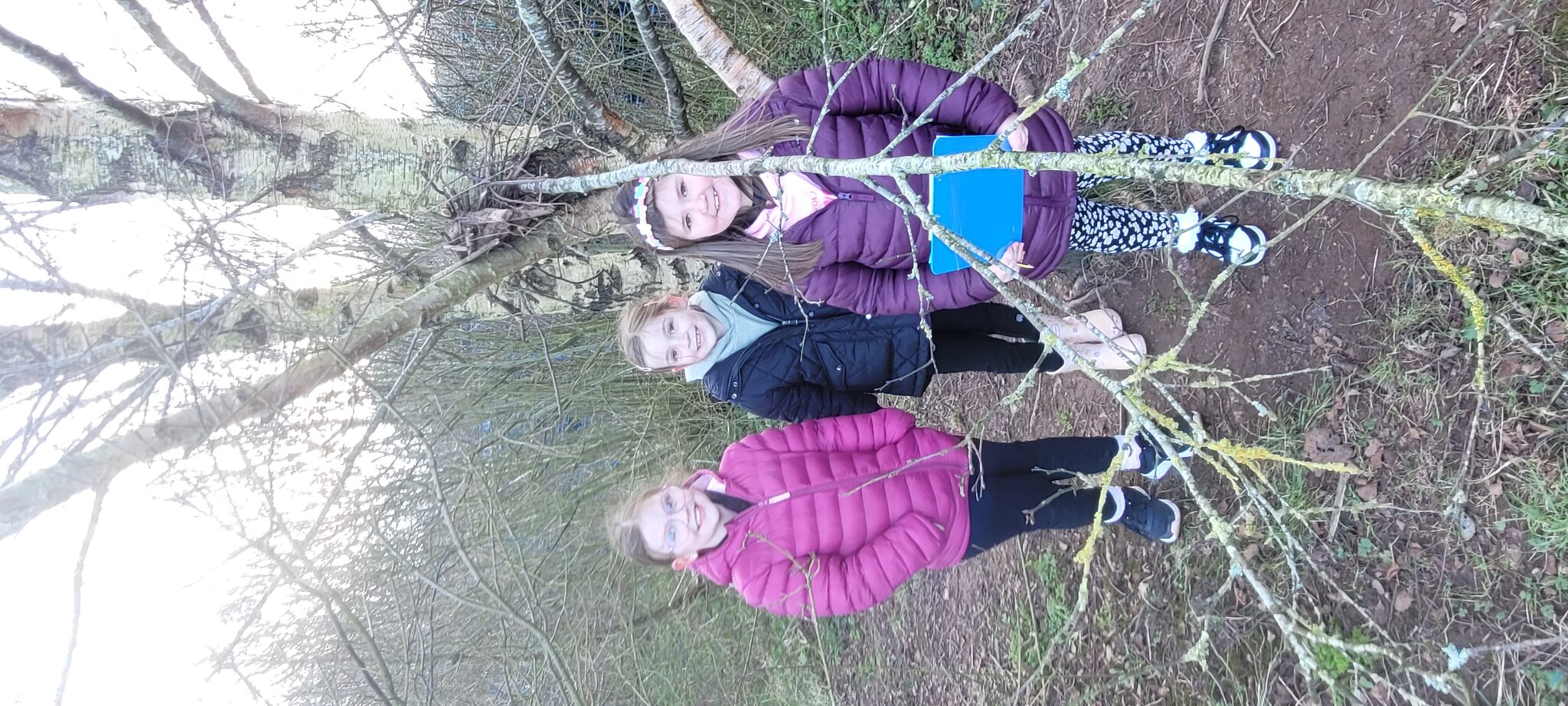 Image of Year 2 Outdoor Learning