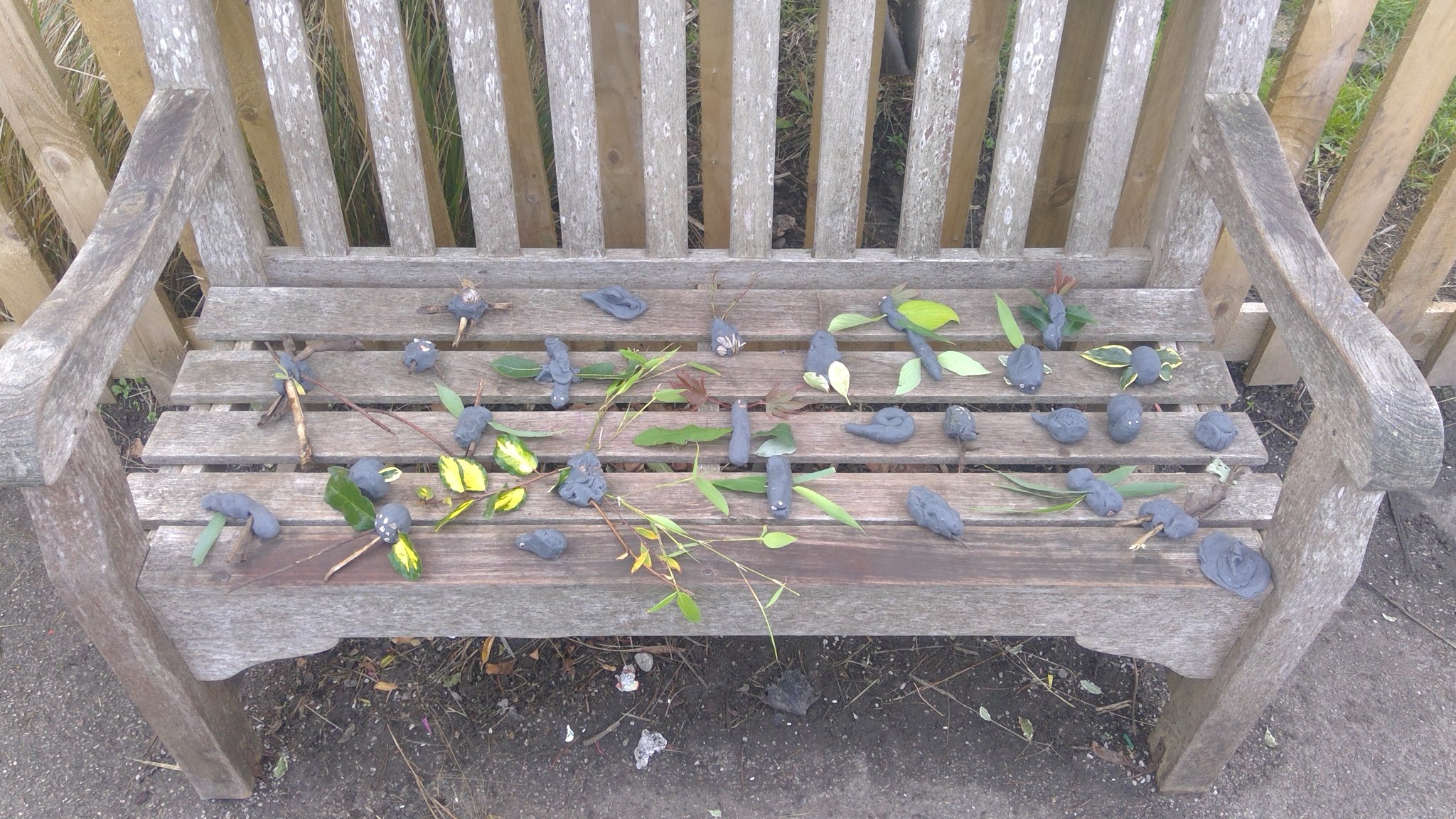 Image of forest schools mini-beasts