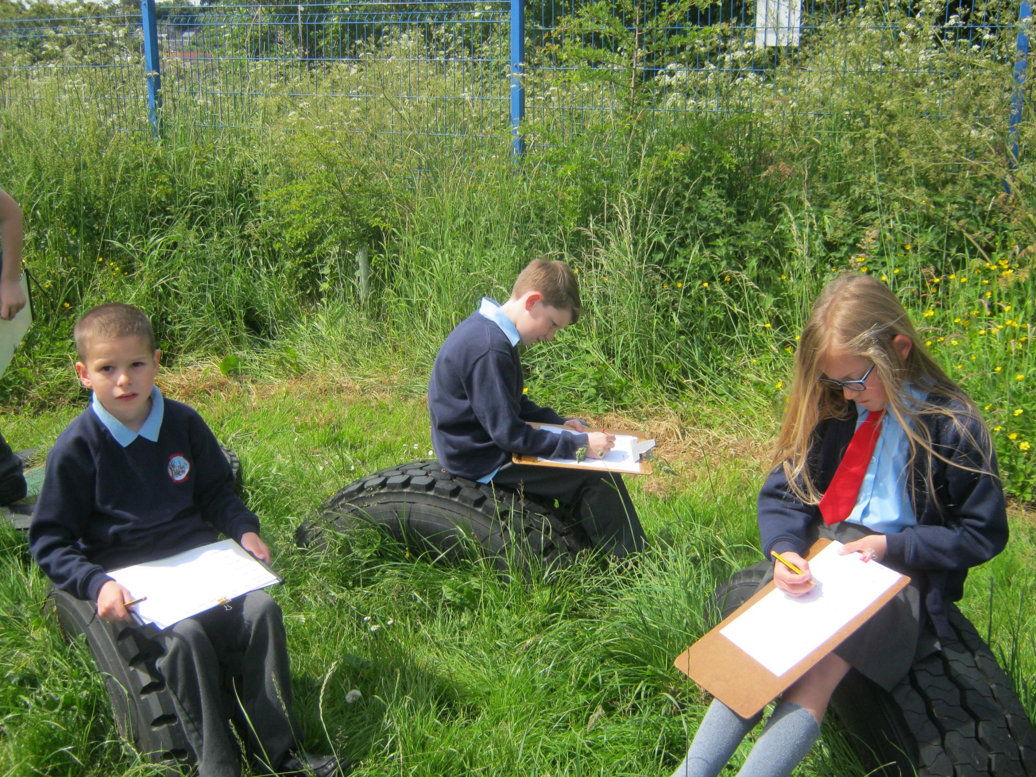 Image of Investigating habitats