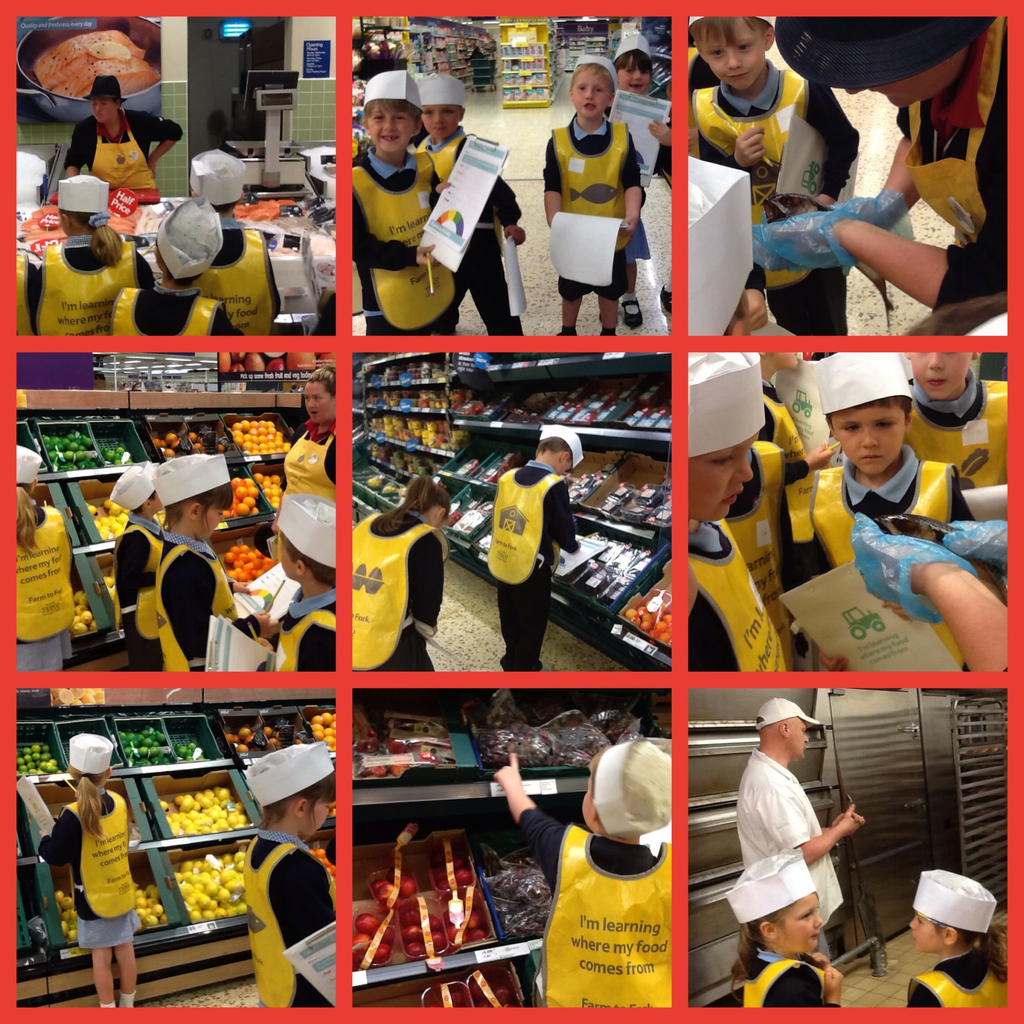 Image of Farm to Fork Tesco Extra trip 