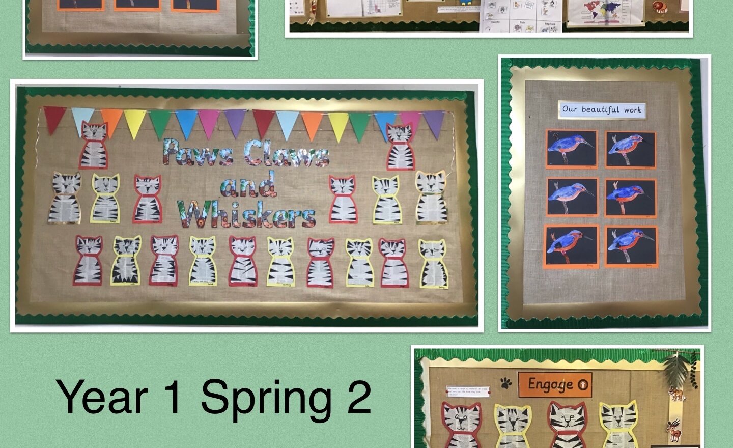 Image of Paws, Claws and Whiskers!