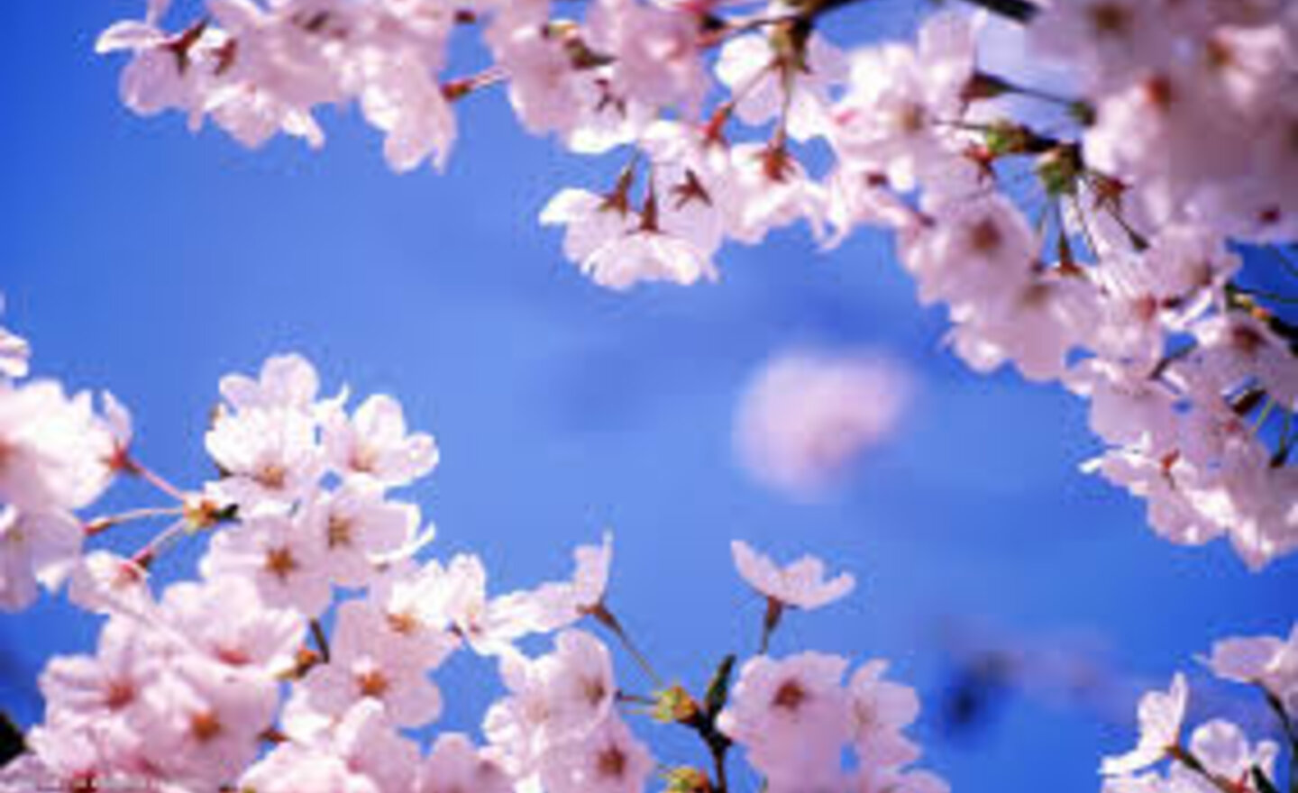 Image of Monday 20th April