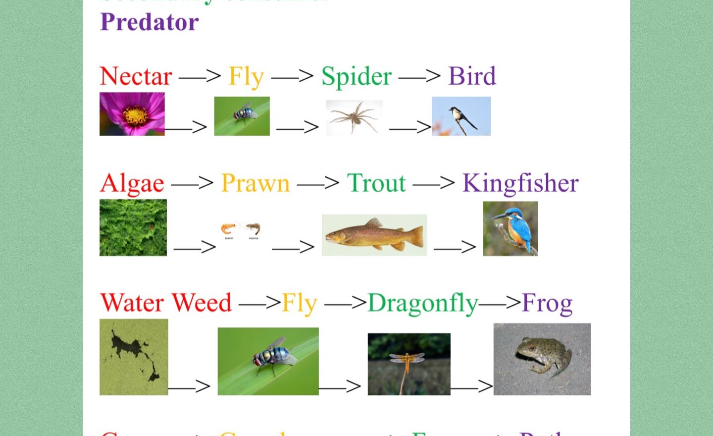 Image of Beautiful topic work!