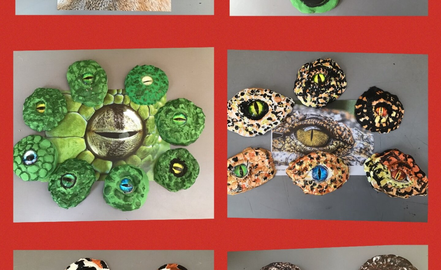 Image of Model Animal Eyes