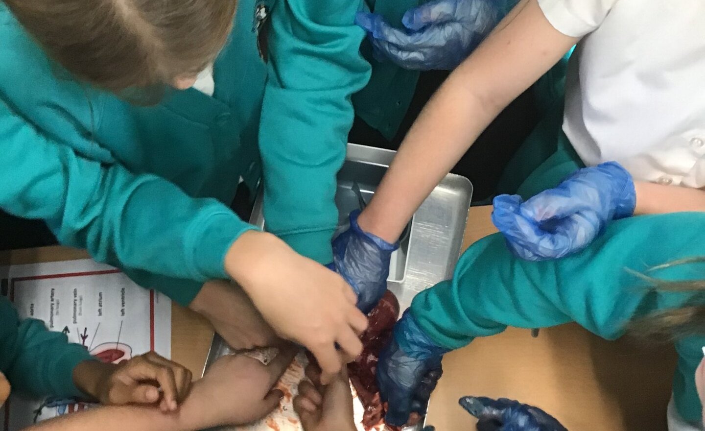 Image of Starting with a heart