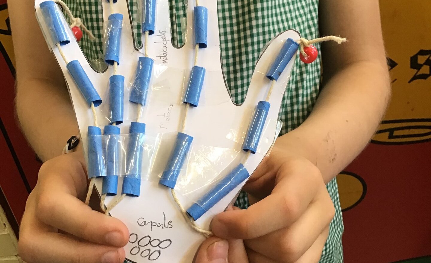 Image of How do we move?