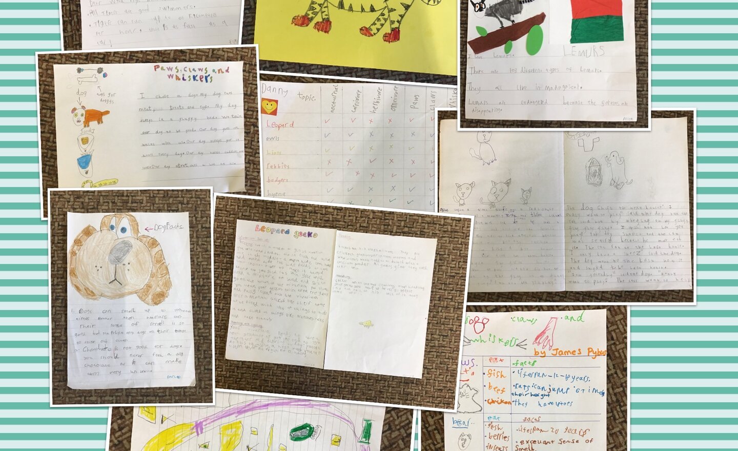 Image of Topic Homework!