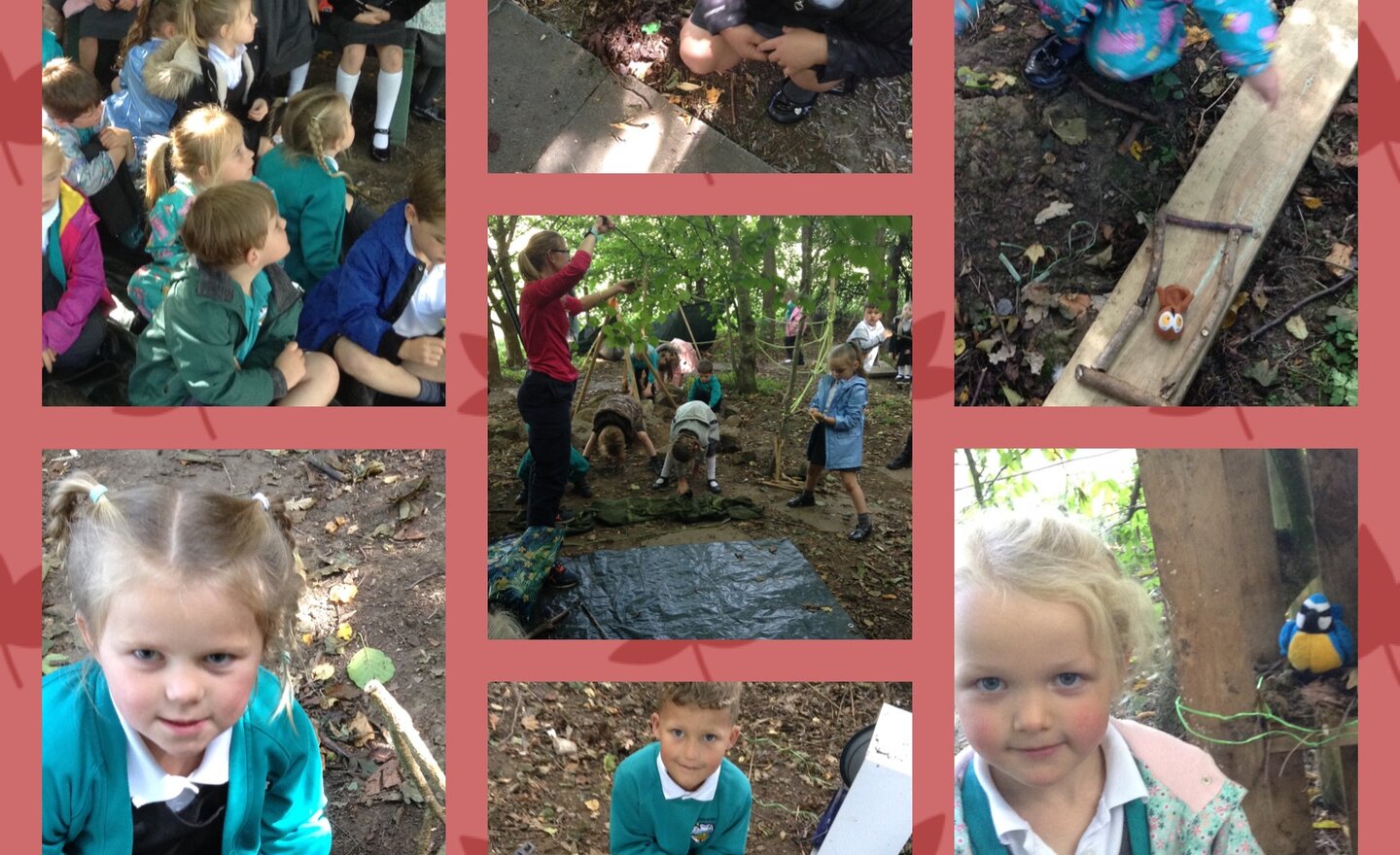 Image of Woodland habitats