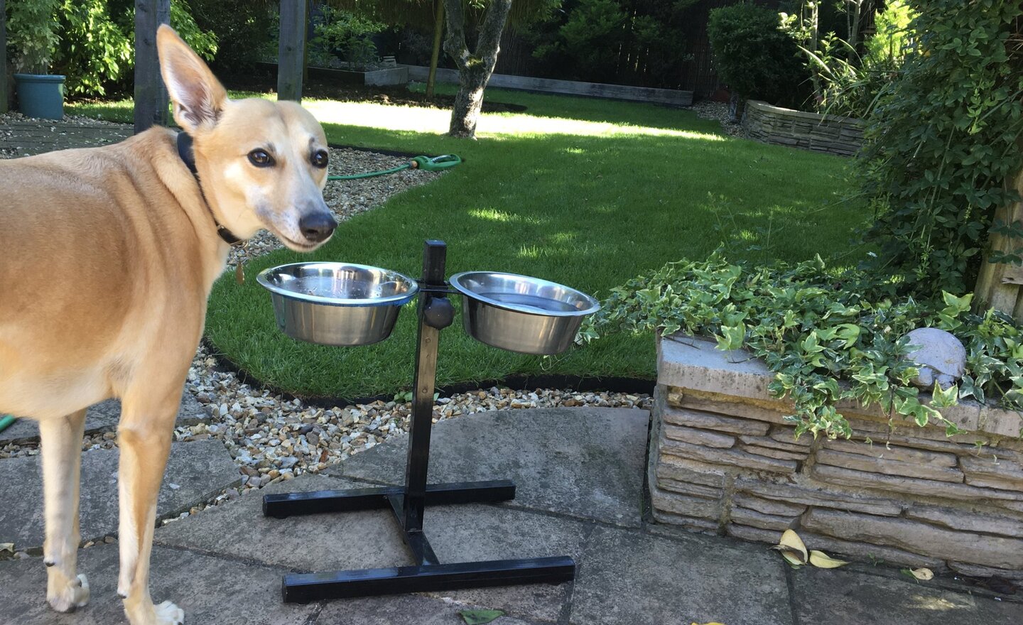 Image of Colin’s Carefree Corner