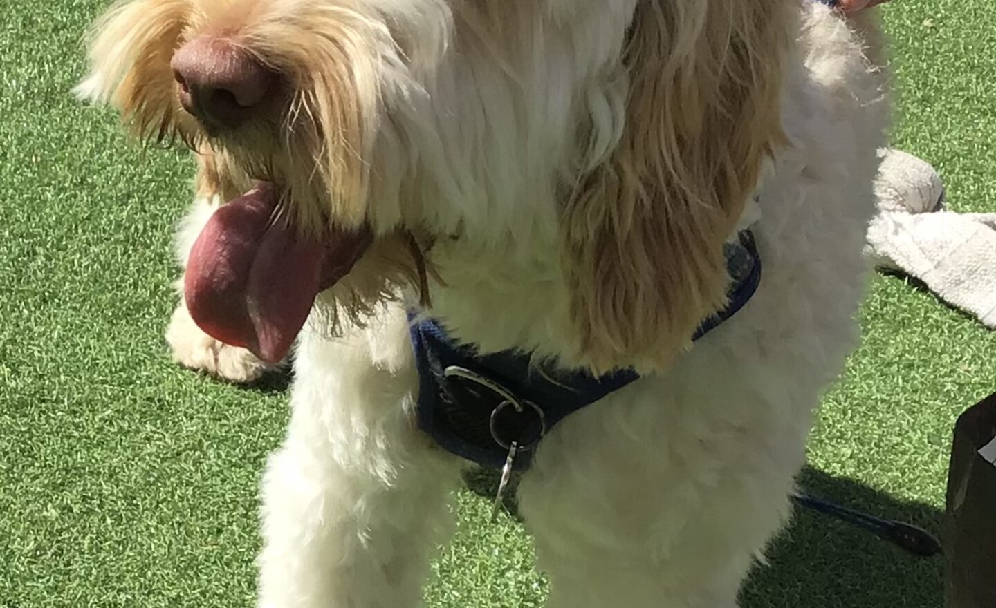 Image of A roaring start to the new term