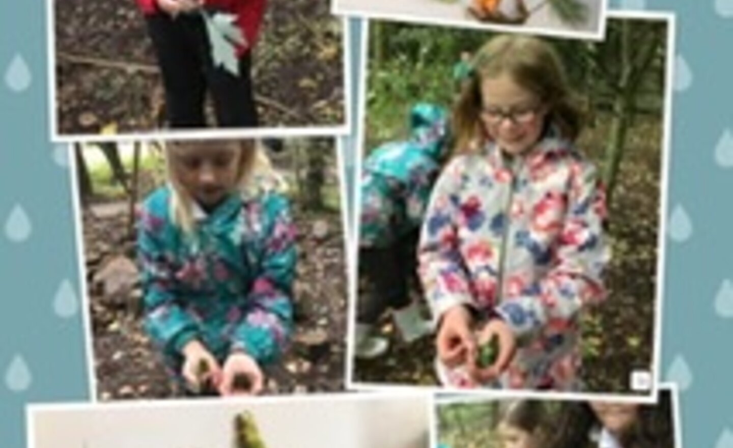 Image of Another busy and fun week!