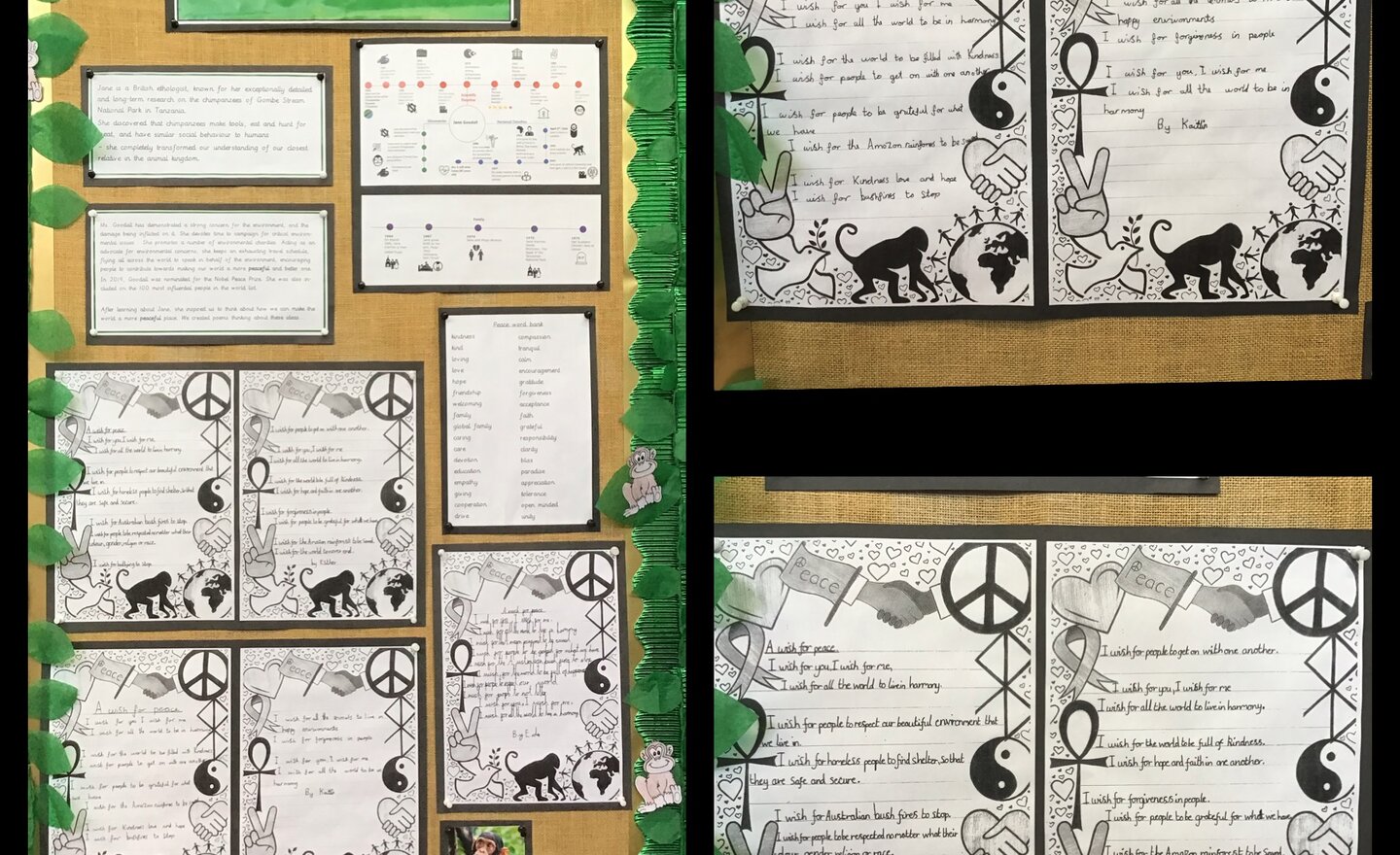 Image of Inspirational Women in Science day: Jane Goodall