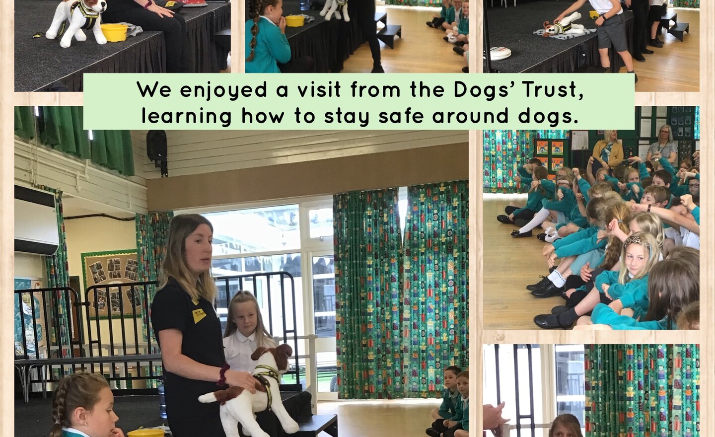 Image of Being Safe Around Dogs