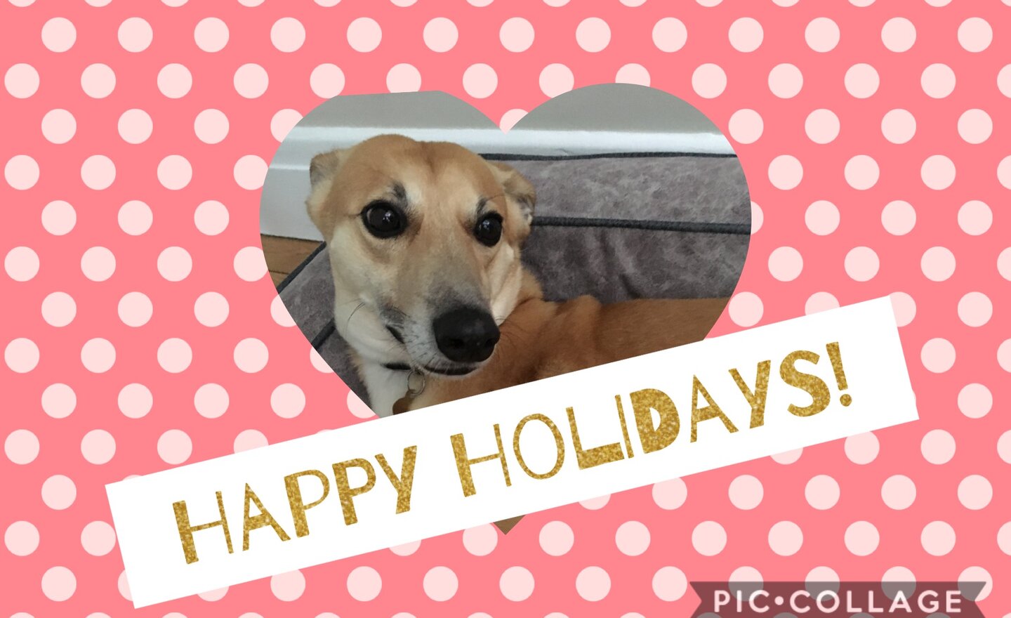 Image of Colin’s Carefree Corner