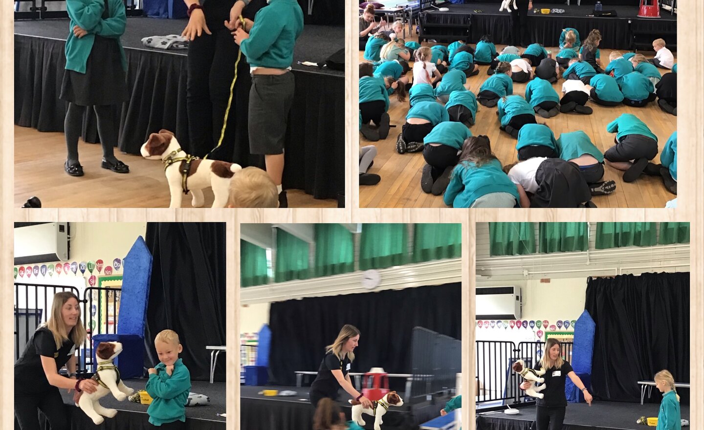 Image of A welcomed visitor! 