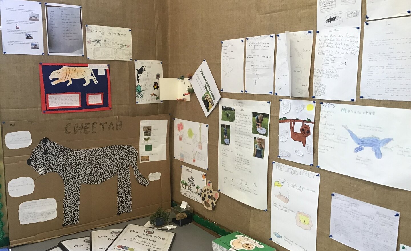 Image of Predator Topic Homework