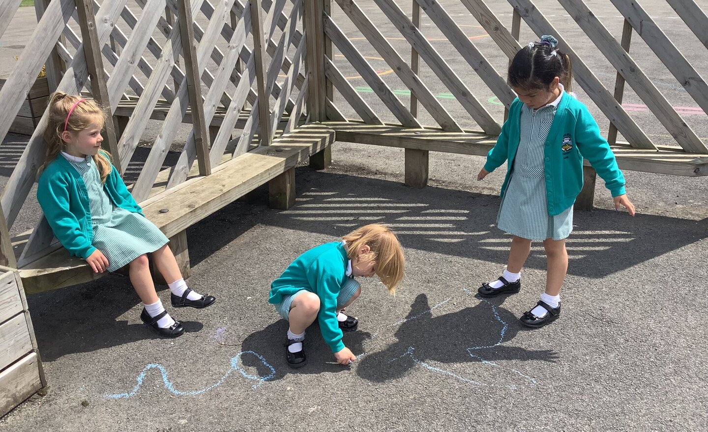 Image of Shadow Hunting 