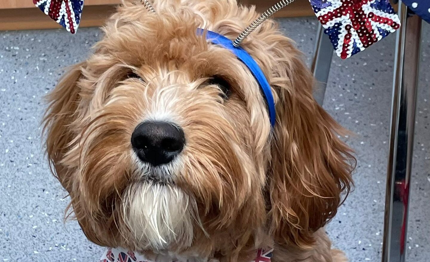 Image of Our Platinum Jubilee