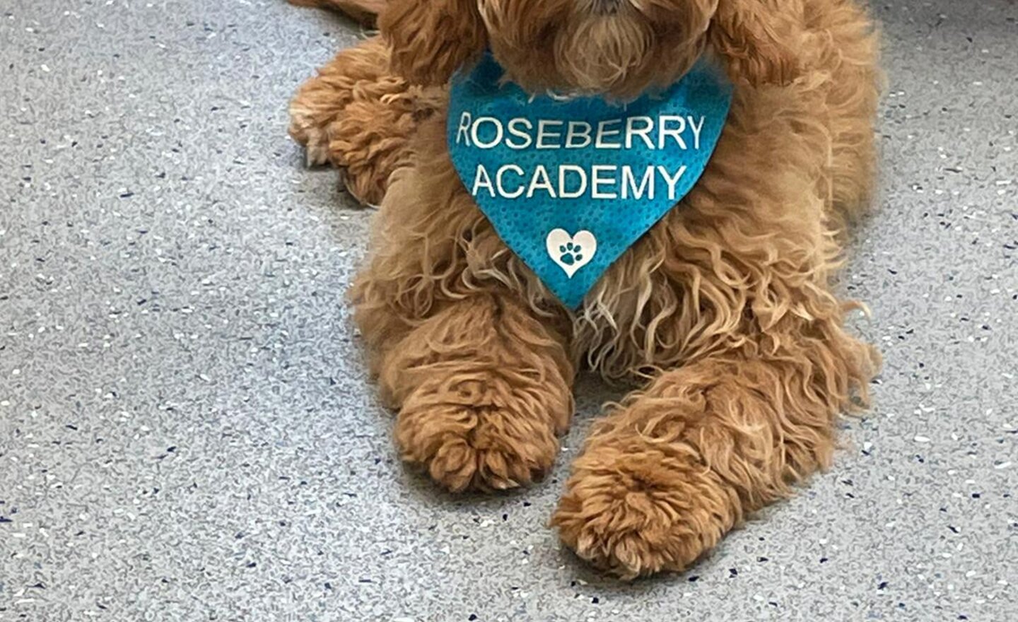 Image of What has impressed Toby this week? 