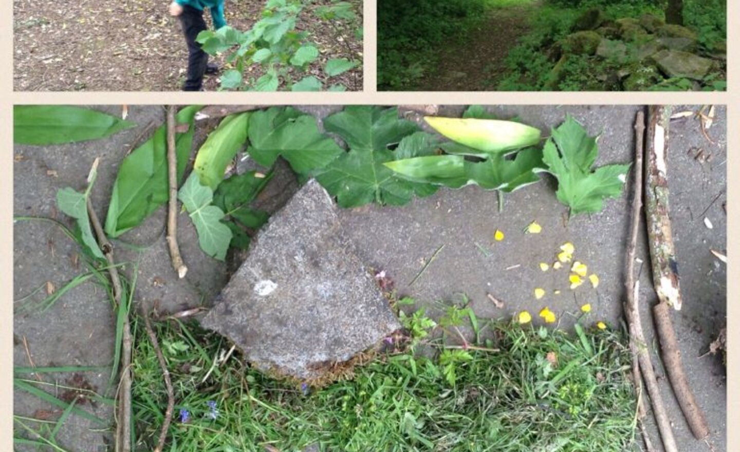 Image of Natural Art