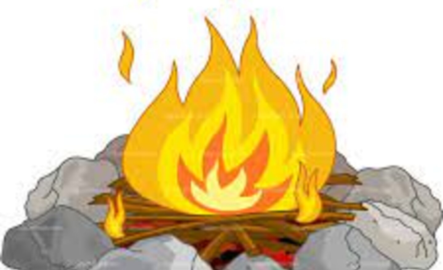 Image of Going wild in the Wildlife Area!