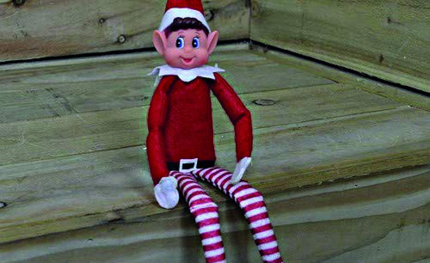 Image of Buddy the Elf is back