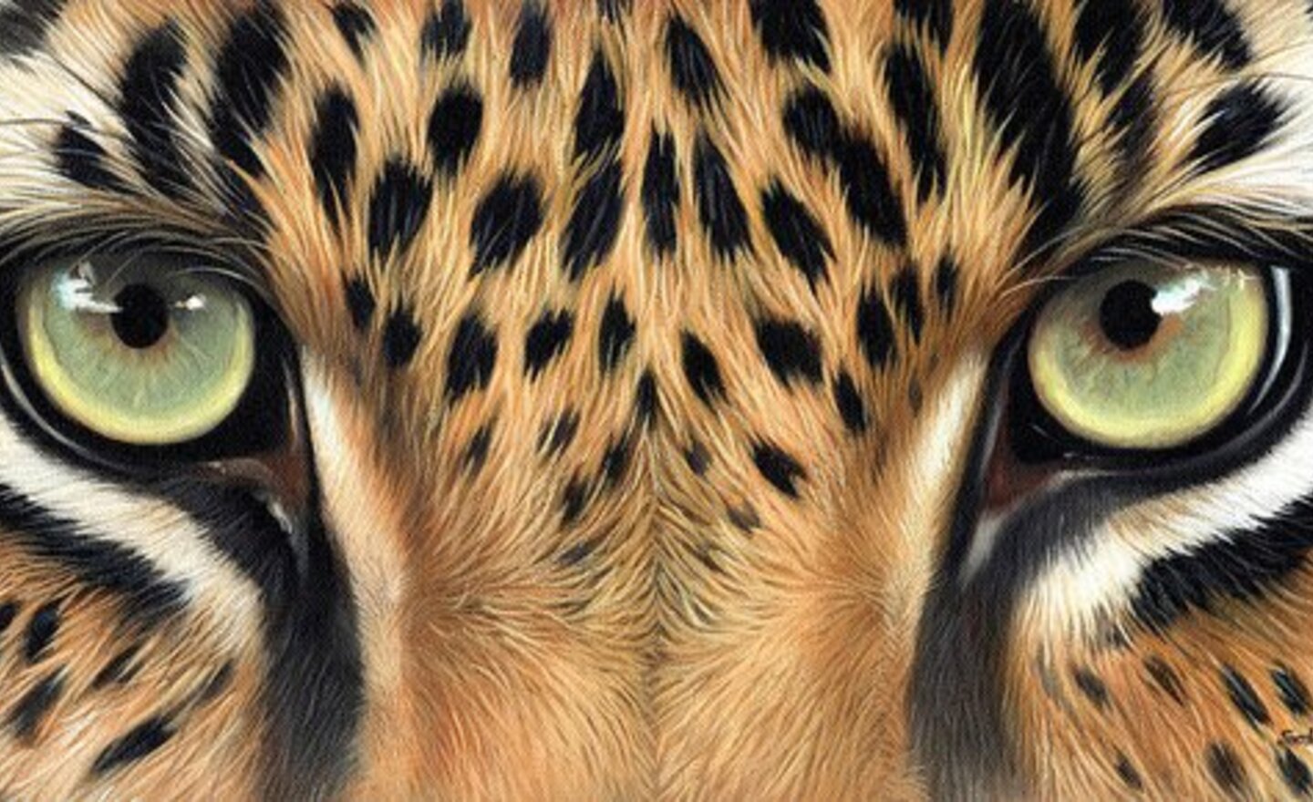 Image of Predator eyes!