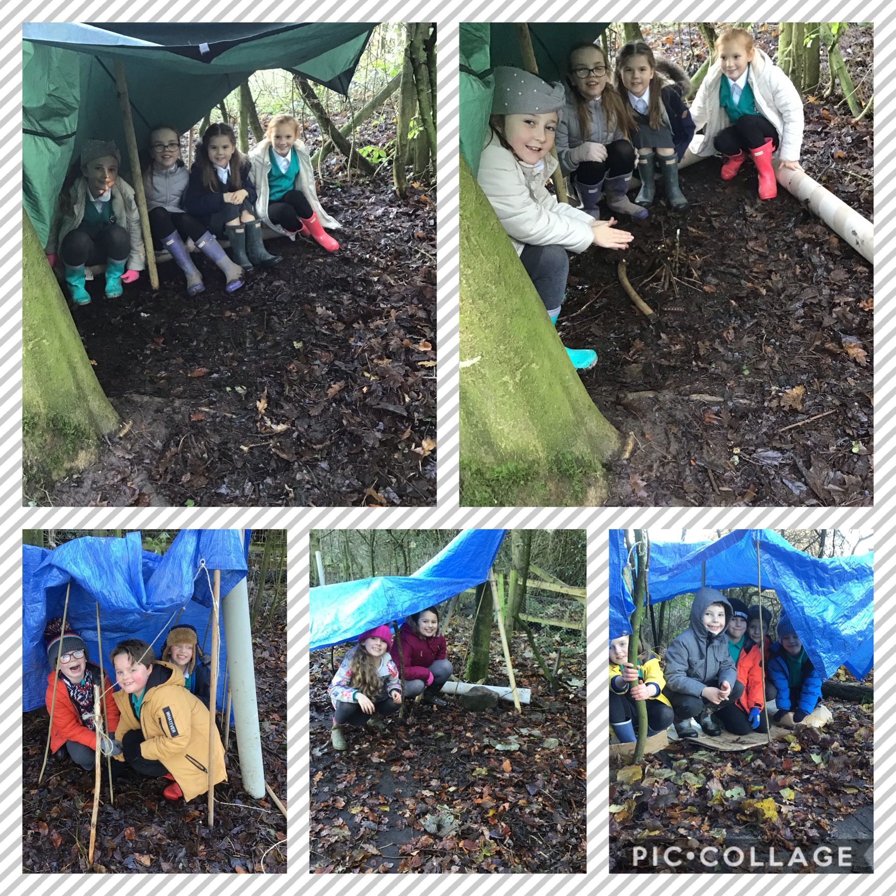 Image of Shelter building!