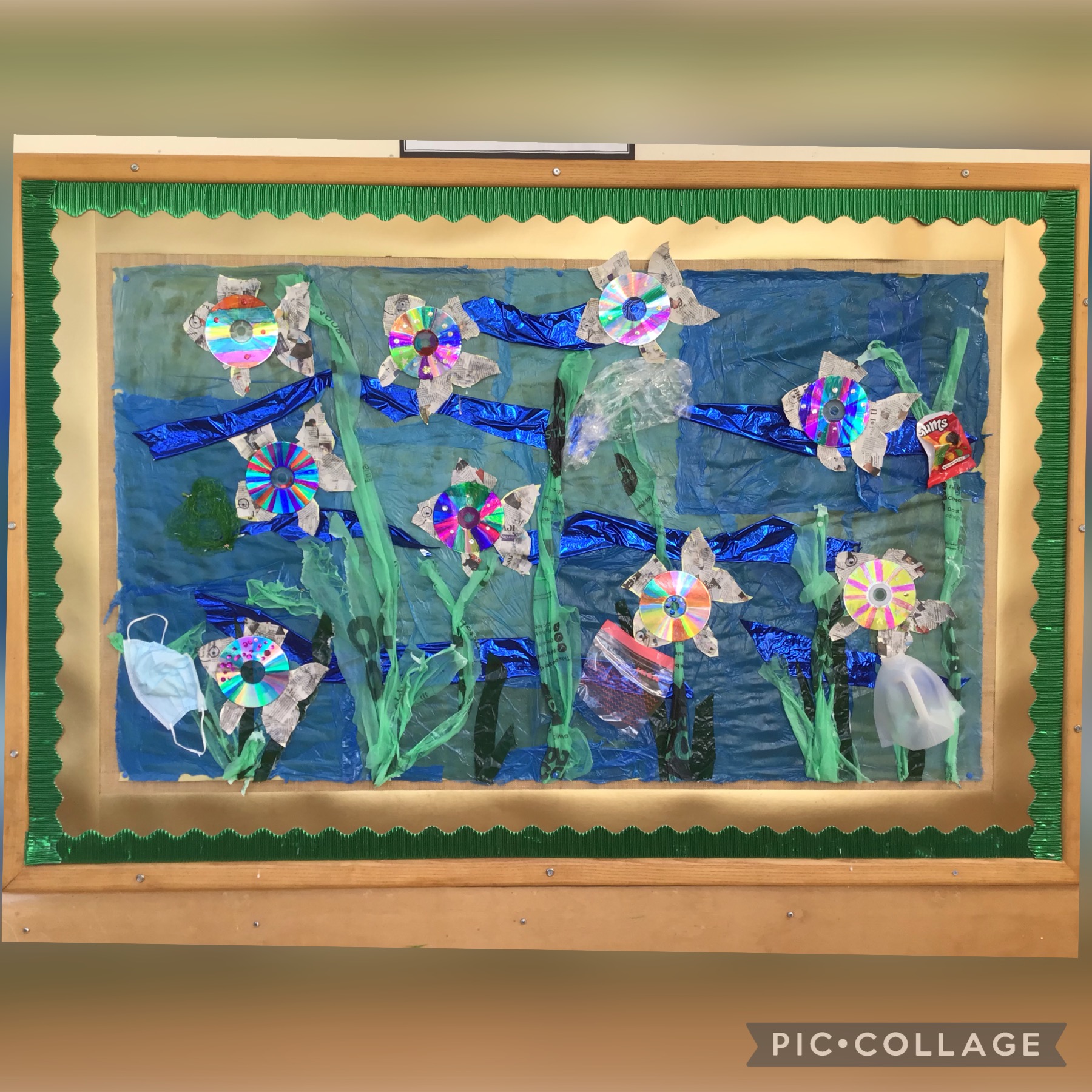 Image of Environment Day!