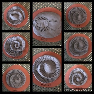 Image of Another brilliant week! 