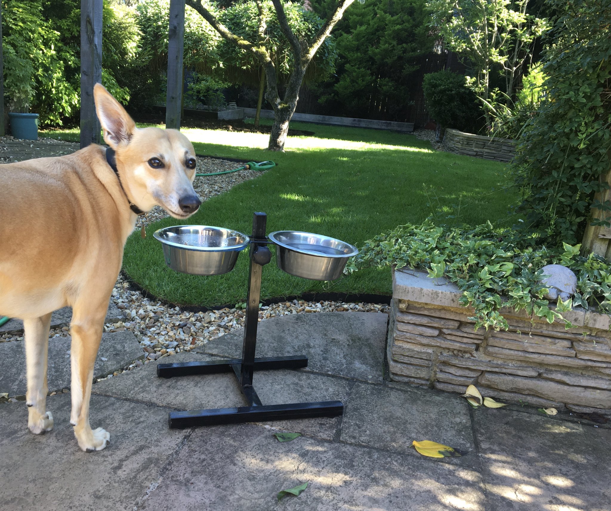 Image of Colin’s Carefree Corner