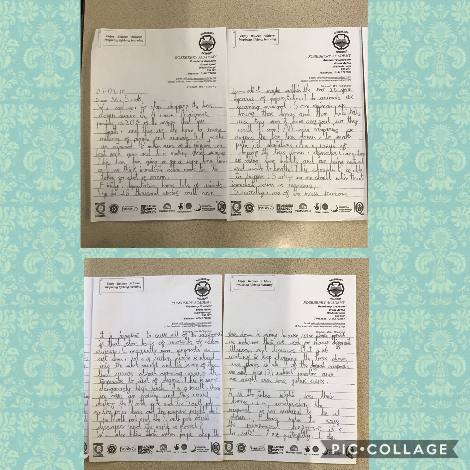 Image of Amazon Rainforest letters 