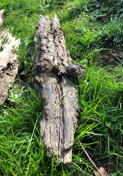 Image of Cheerful Challenge - Hidden Objects and Faces!