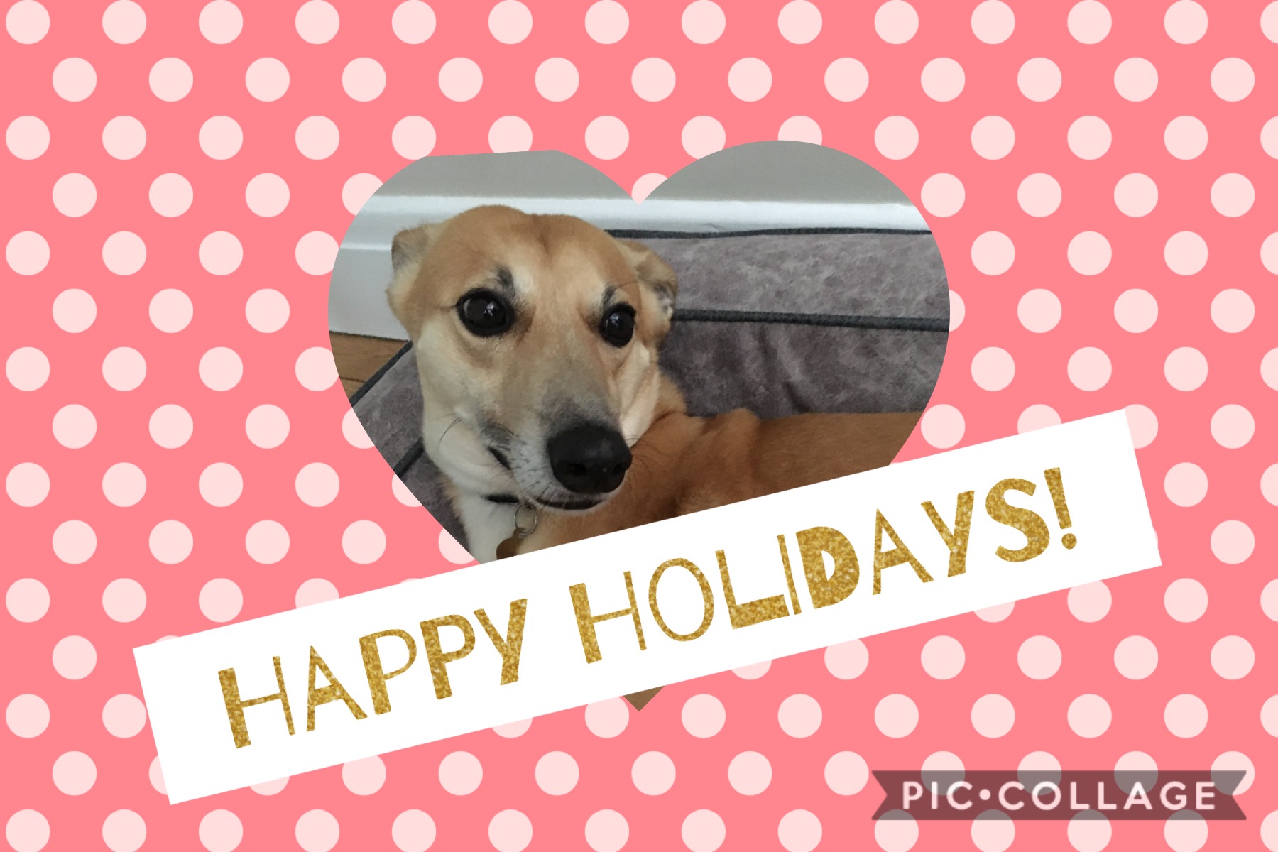 Image of Colin’s Carefree Corner