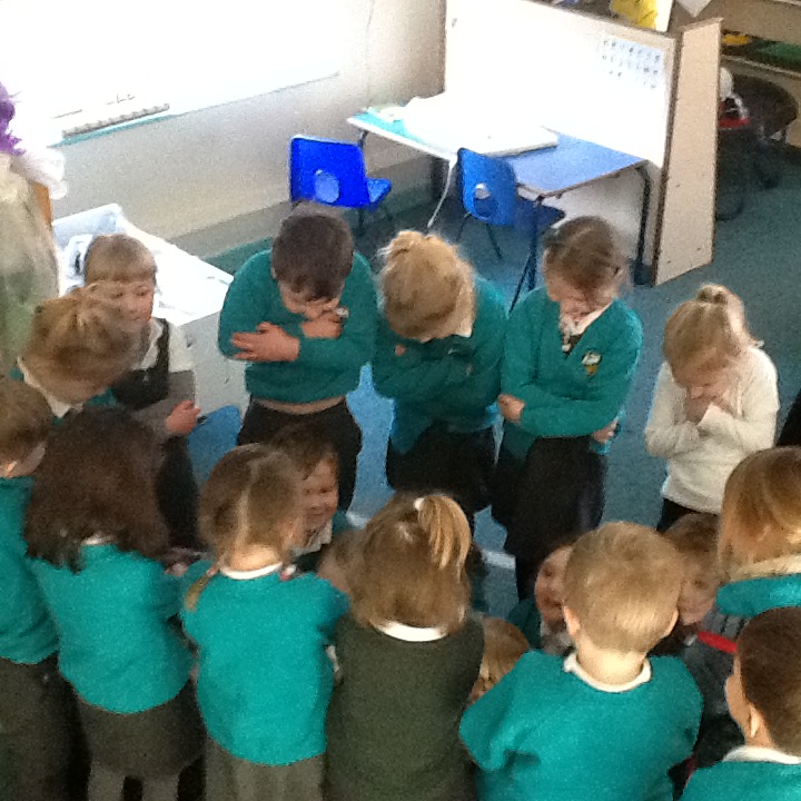 Image of How do Penguins keep warm?