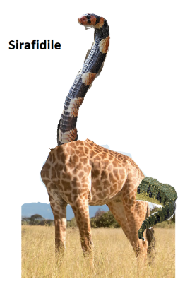 Image of A non-chronological report  'THE ULTIMATE PREDATOR!'