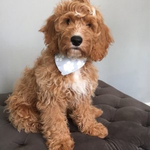 Image of Our visit from Toby